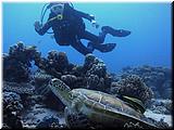 P5170016 (2)un.jpg