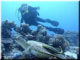 P5170017 (2)un.jpg