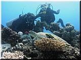 P5170022 (2)un.jpg