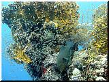 P5170037un.jpg
