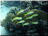 P5170043un.jpg