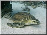 P5180027 (2)un.jpg