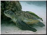 P5180061un.jpg