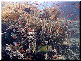 P5200167un.jpg
