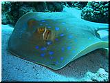 P5200224un.jpg